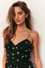 Ambessa Embellished Organza Mini Dress