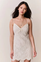 Petaline Lace Mini Dress