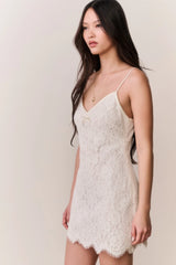 Petaline Lace Mini Dress